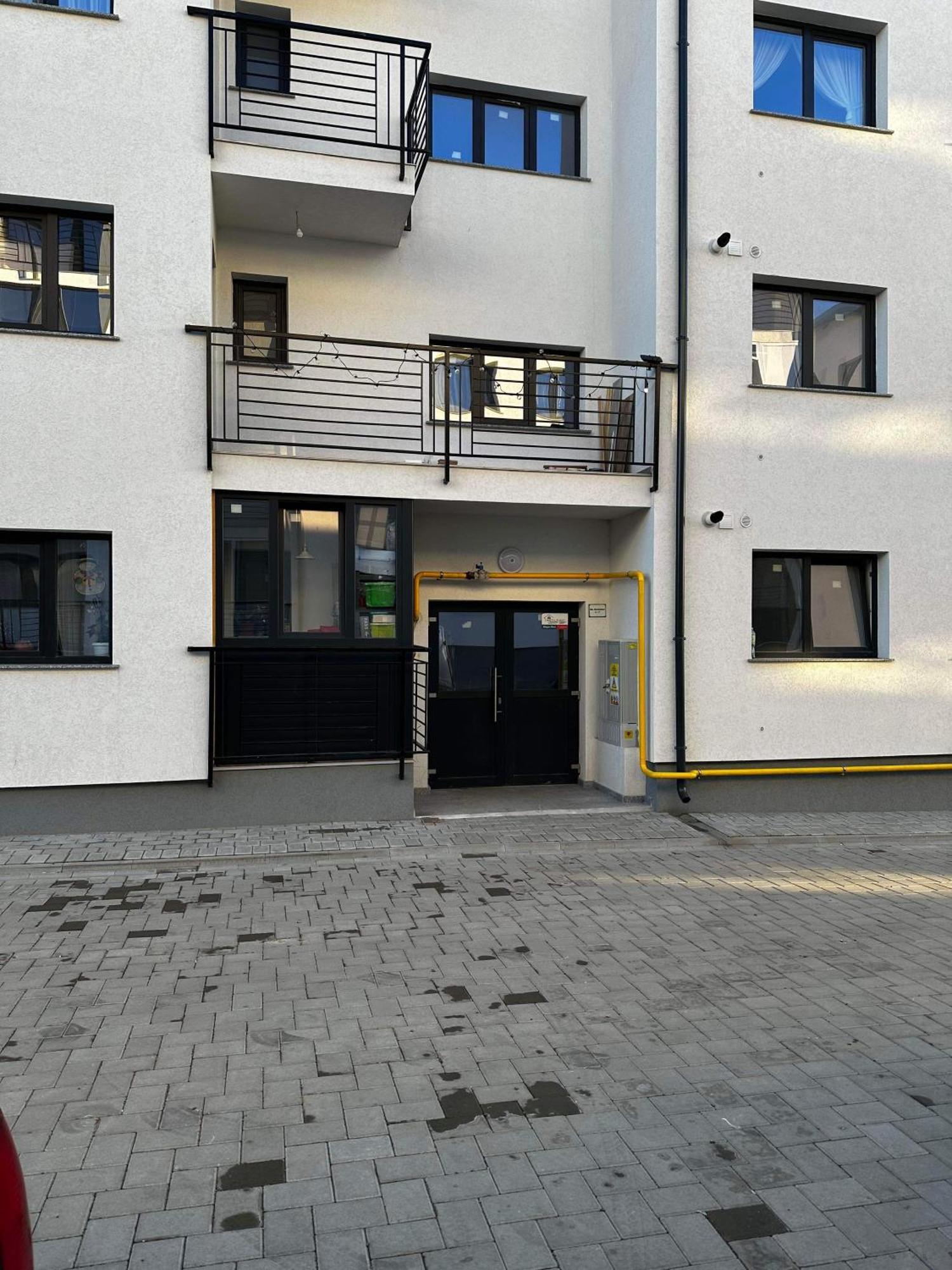 Jungle Loft Lägenhet Suceava Exteriör bild
