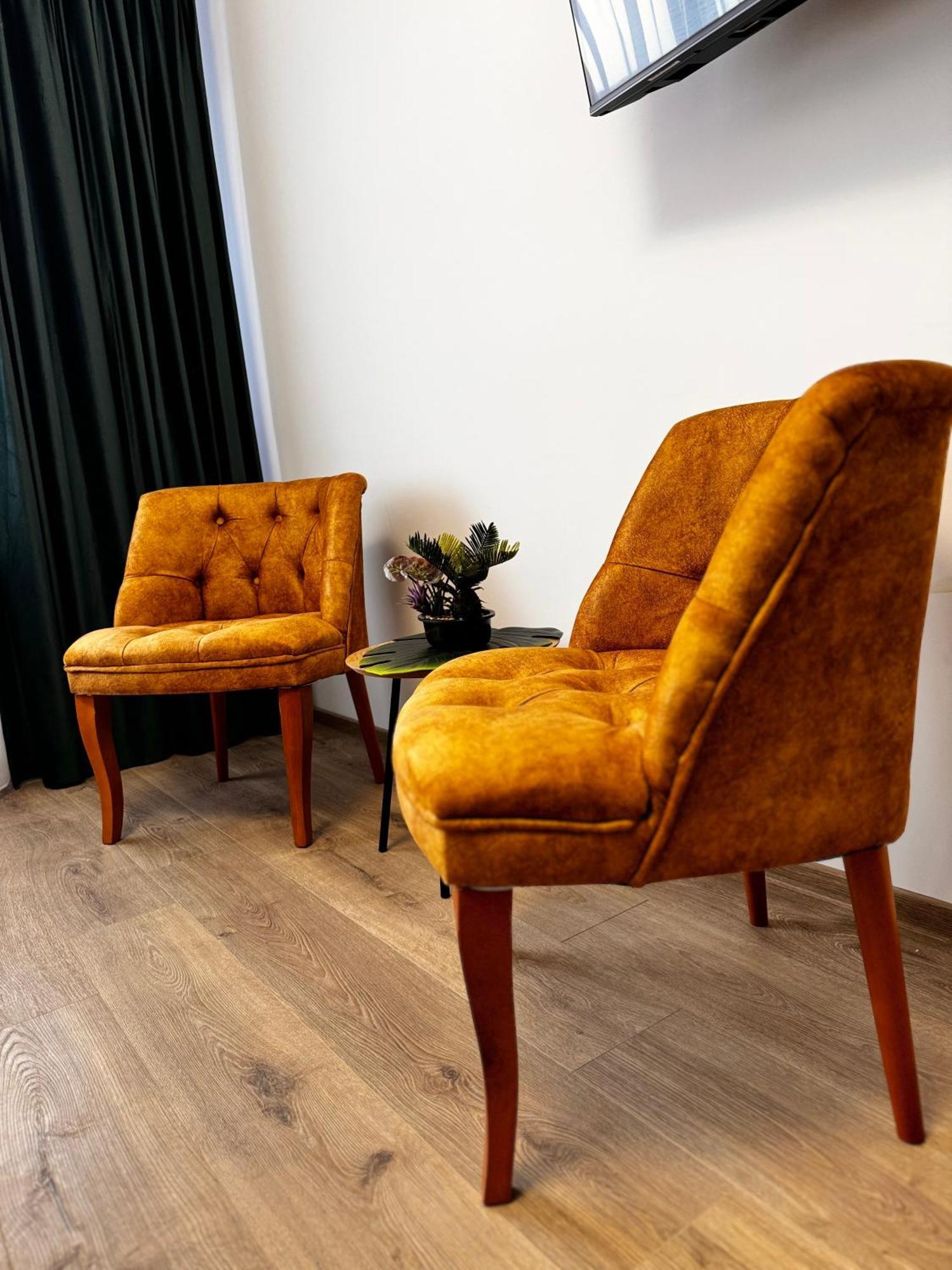 Jungle Loft Lägenhet Suceava Exteriör bild