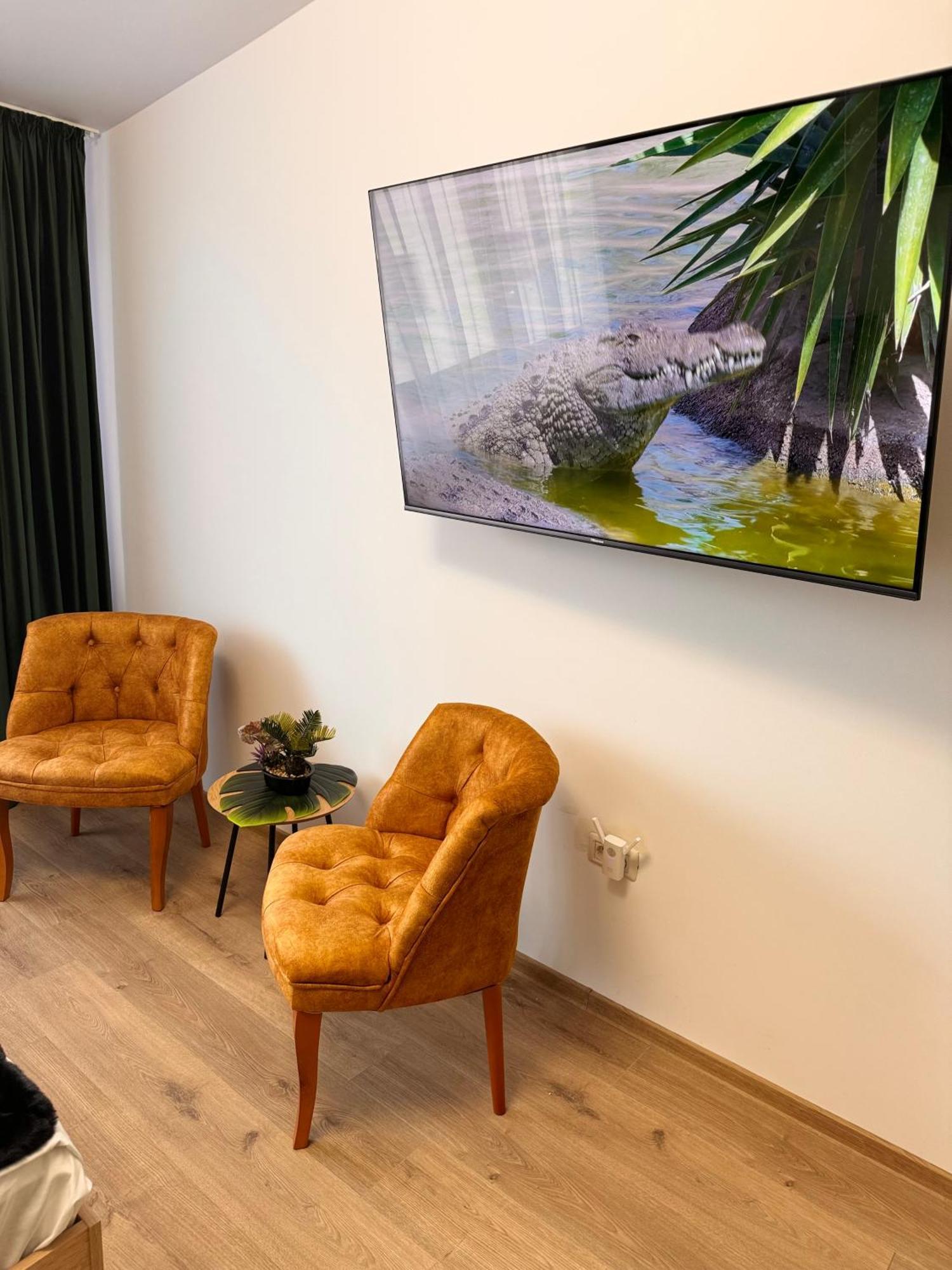 Jungle Loft Lägenhet Suceava Exteriör bild